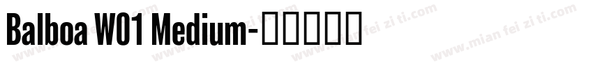 Balboa W01 Medium字体转换